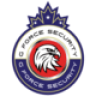GForceSecurity